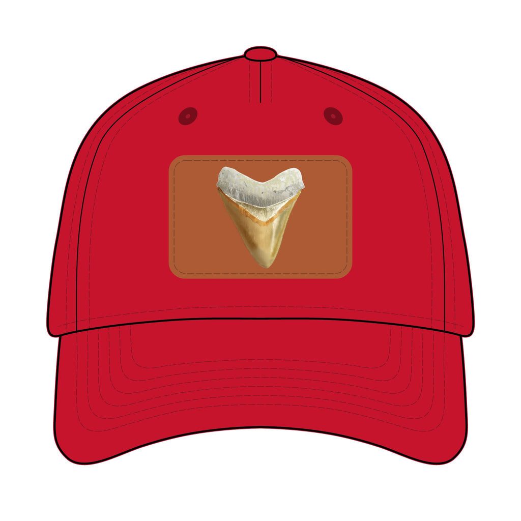 Shark Tooth Leather Patch Baseball Cap