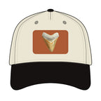 Shark Tooth Leather Patch Baseball Cap