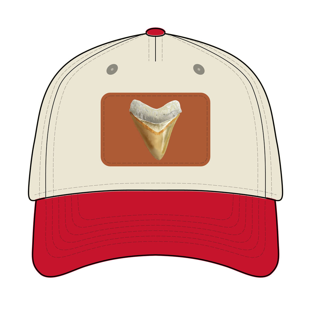 Shark Tooth Leather Patch Baseball Cap