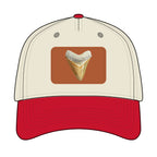 Shark Tooth Leather Patch Baseball Cap
