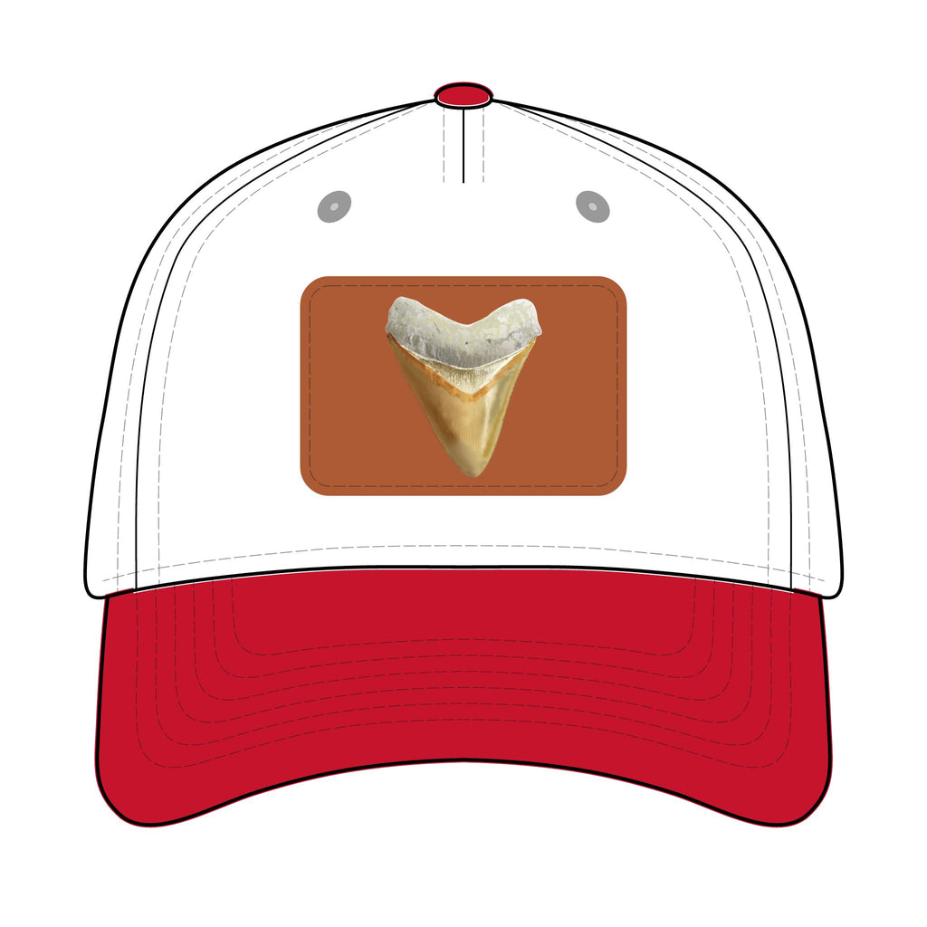 Shark Tooth Leather Patch Baseball Cap
