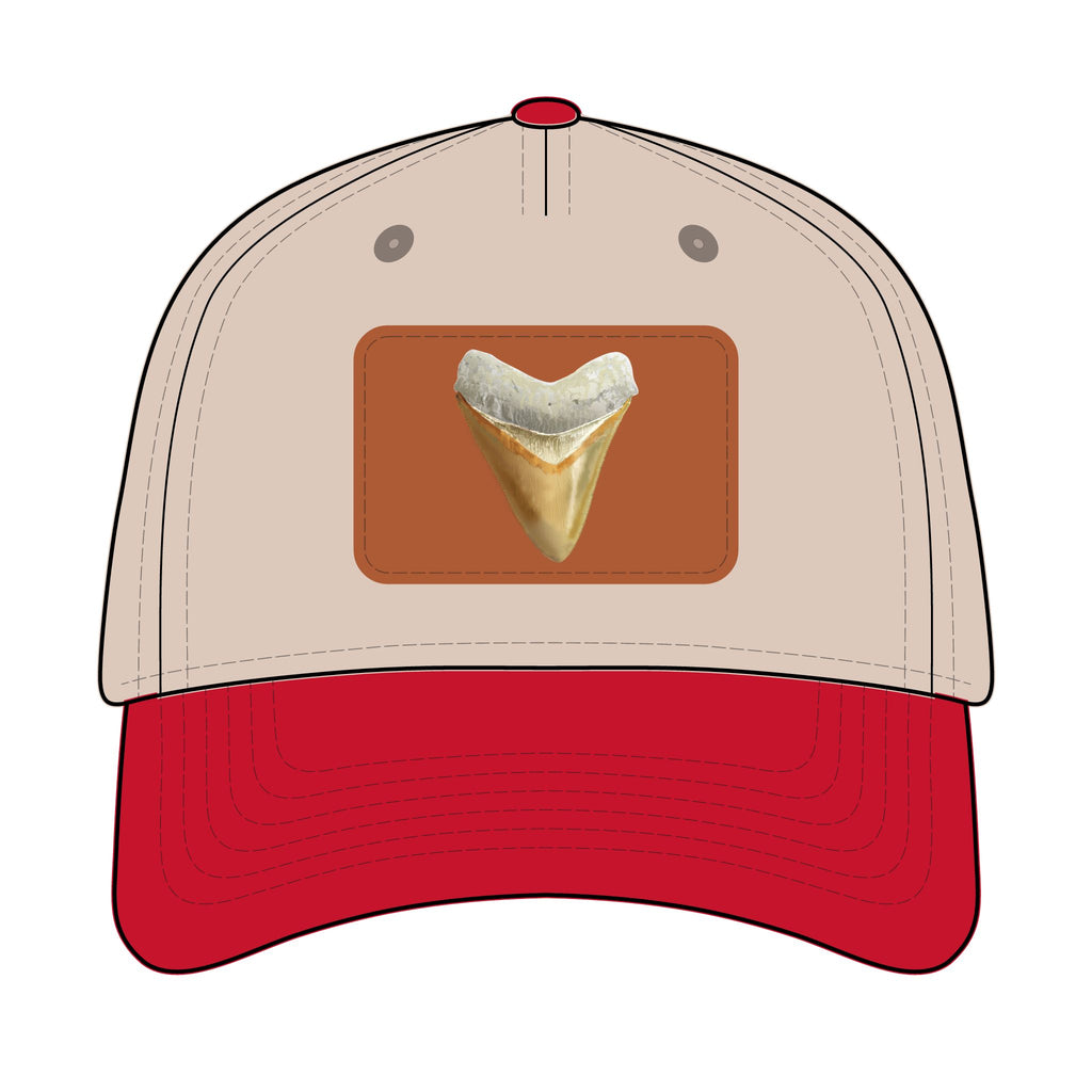 Shark Tooth Leather Patch Baseball Cap